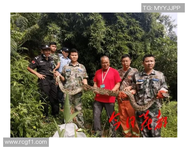 库尔图瓦谈老鼠事件表示绝不会伤害小动物将其安全放生